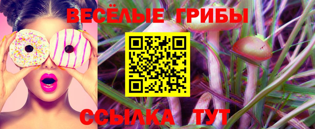 Гашиш  Кокаин  Вход с VPN  Марихуана  Alpha PVP СОЛЬ кристаллы  Меф  Кашира  Меф кристаллы 