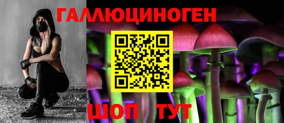 Псилоцибиновые грибы GOLDEN TEACHER  Псилоцибиновые грибы GOLDEN TEACHER  Вход с VPN  Кашира 